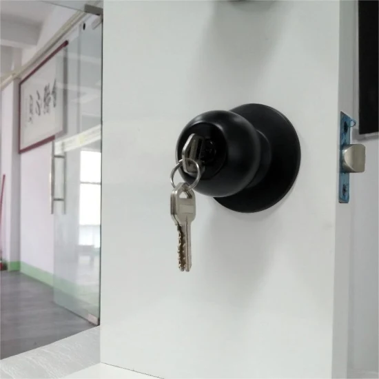 Pomello per porta d'ingresso con chiave e serratura, maniglia per porta esterna ed interna Tulip,